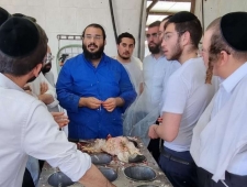 איפה כדאי ללמוד להיות שוחט?